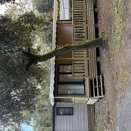 Mobil-home Confortable - 6 Pers. - Api-1-52-2256